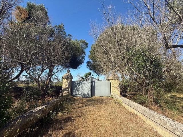 Terreno Agricolo in vendita a Alessano