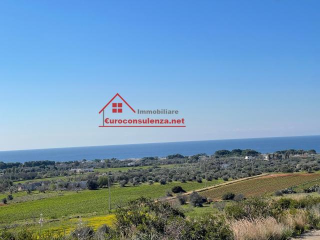 Terreno agricolo in vendita a Alliste