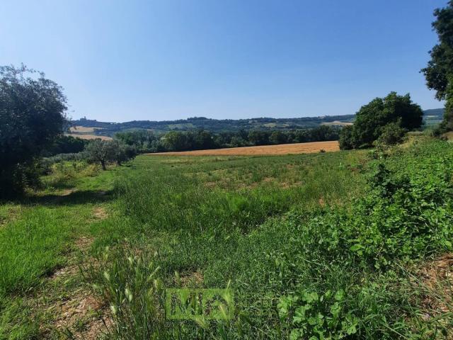 Terreno Agricolo in vendita a Altidona, Campagna