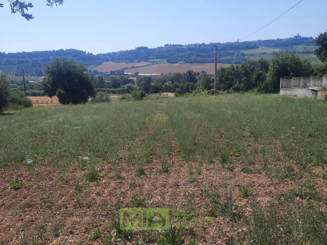 Terreno Agricolo in vendita a Altidona, Marina di Altidona