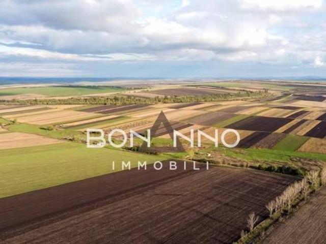 Terreno agricolo in vendita a Altivole