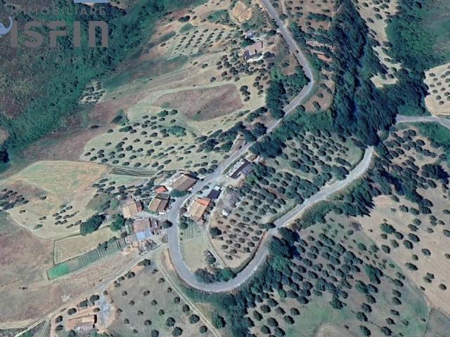 Terreno Agricolo in vendita a Altomonte