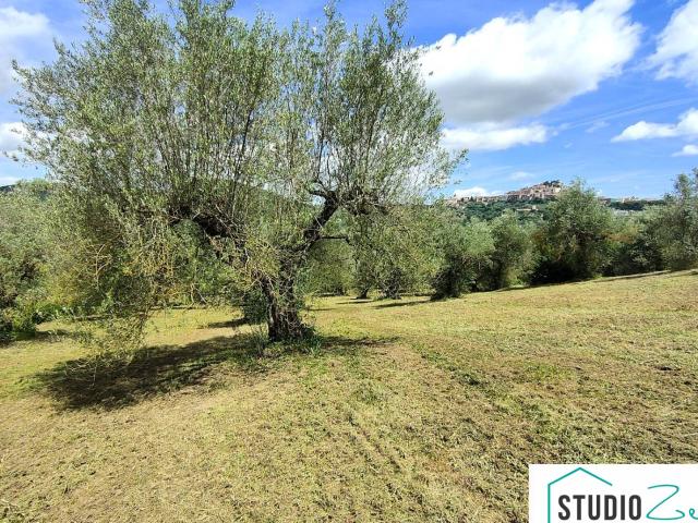Terreno Agricolo in vendita a Amelia