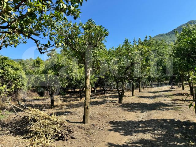Terreno Agricolo in vendita a Angri