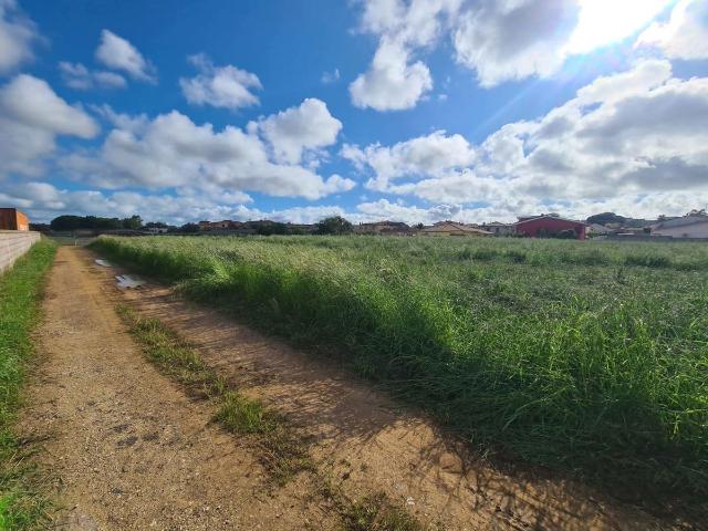 Terreno Agricolo in vendita a Anzio