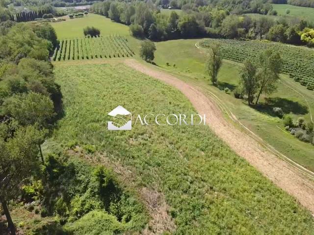 TERRENO AGRICOLO in VENDITA a ASOLO