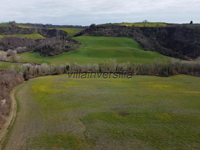 Terreno agricolo in Vendita a Asciano