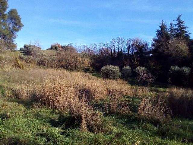 Terreno Agricolo in vendita a Ascoli Piceno, Stadio