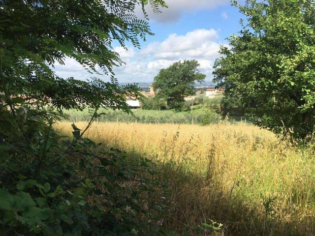 Terreno agricolo in vendita a Assisi