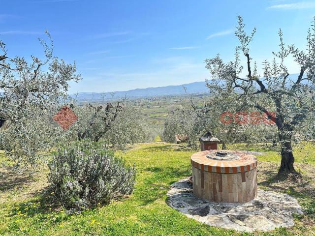 Terreno Agricolo in vendita a Arezzo