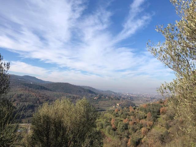 TERRENO AGRICOLO in VENDITA a AREZZO STADIO