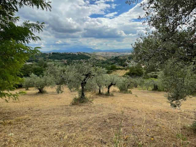 Terreno Agricolo in vendita a Ariano Irpino, contrada s.tommaso