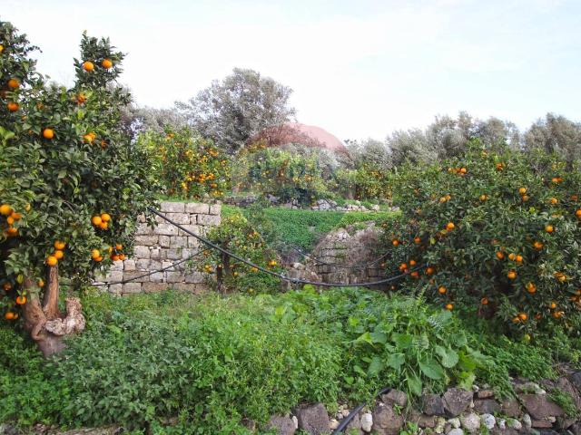 Terreno agricolo in vendita a Augusta