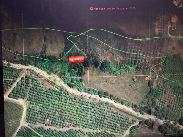 Terreno agricolo in vendita a Augusta