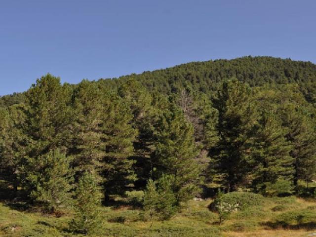 Terreno agricolo in Vendita a Auronzo di Cadore