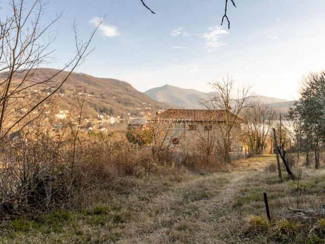 Terreno agricolo in vendita a Avigliana
