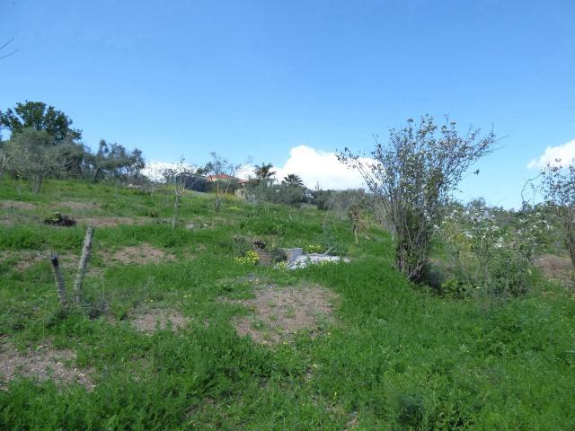 Terreno agricolo in vendita a Bagheria