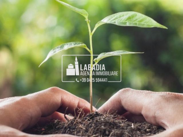 Terreno agricolo in Vendita a Bagnolo di Po