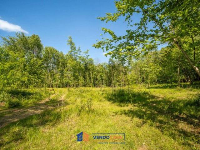Terreno agricolo in vendita a Bagnolo Piemonte