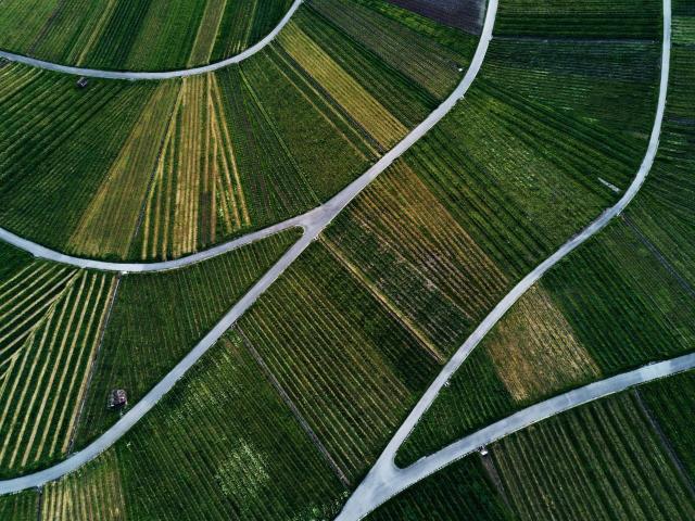 Terreno Agricolo in vendita a Balangero