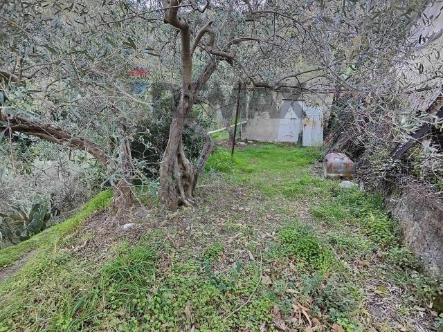 Terreno agricolo in vendita a Barcellona Pozzo Di Gotto