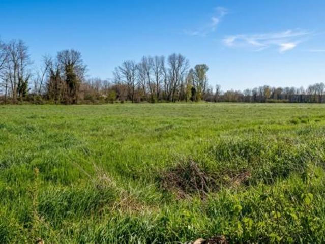 Terreno Agricolo in Vendita a Bedizzole