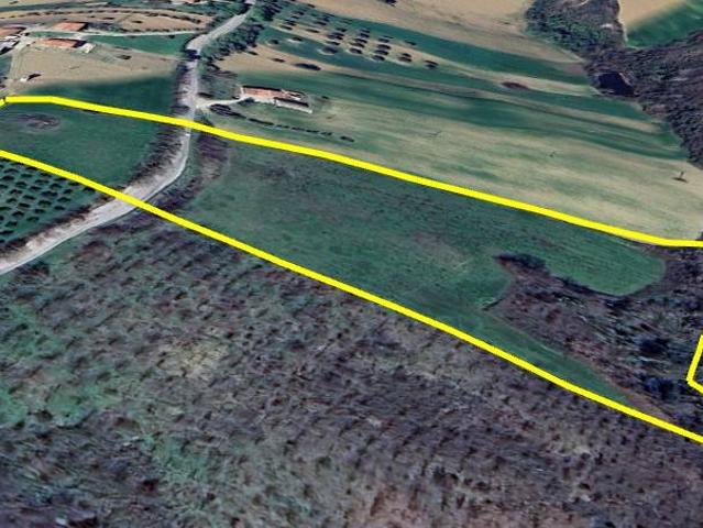 Terreno Agricolo in vendita a Bellante, San Mauro