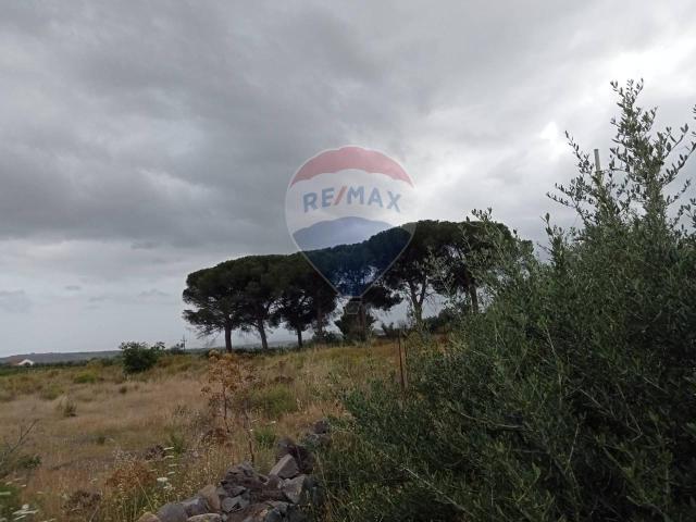 Terreno agricolo in vendita a Belpasso