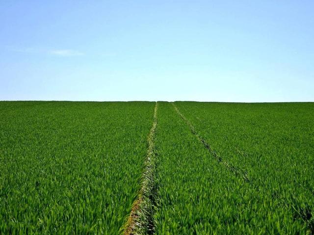 Terreno agricolo in vendita a Bergamo