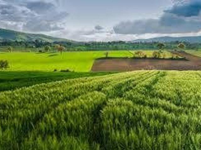Terreno agricolo in vendita a Bergamo