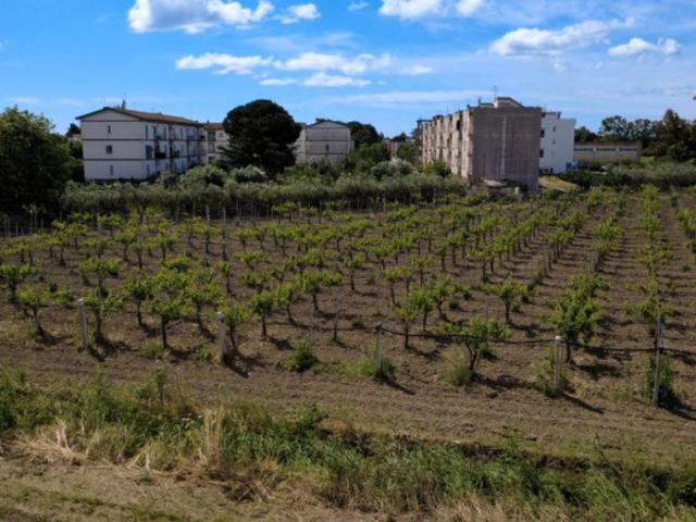 Terreno agricolo in Vendita a Bernalda