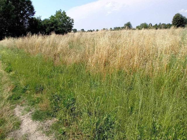 Terreno agricolo in vendita a Bologna