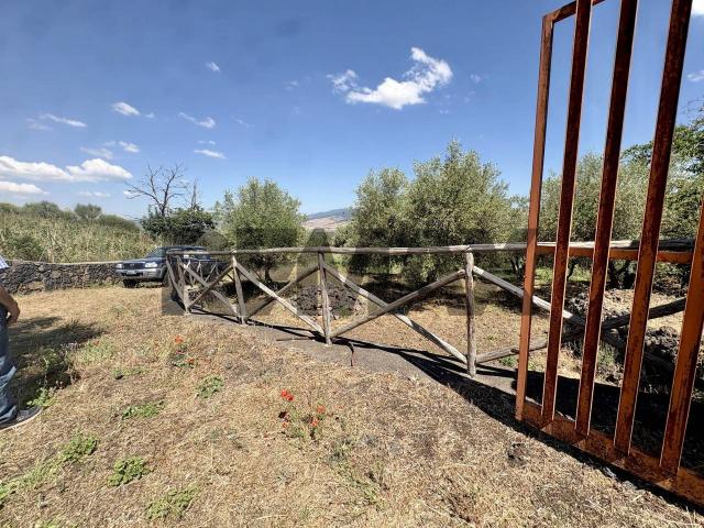 Terreno agricolo in vendita a Maletto