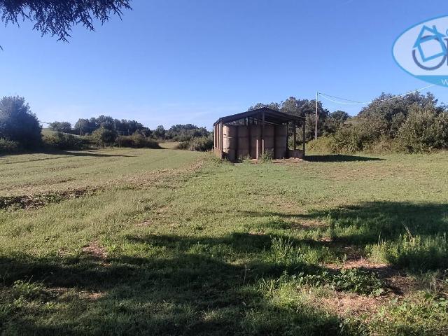 Terreno Agricolo in vendita a Bracciano, Castel Giuliano