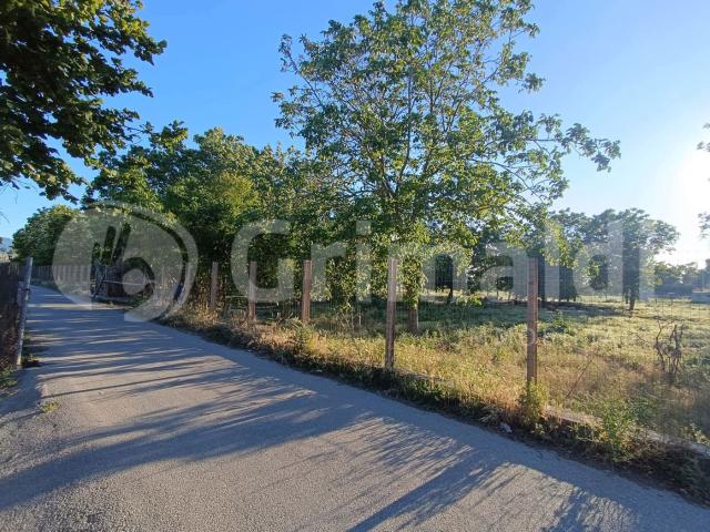 Terreno Agricolo in vendita a Brusciano