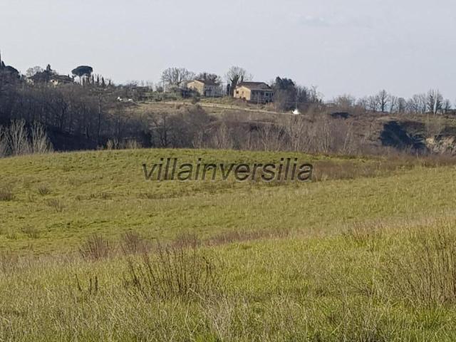 Terreno Agricolo in vendita a Bucine