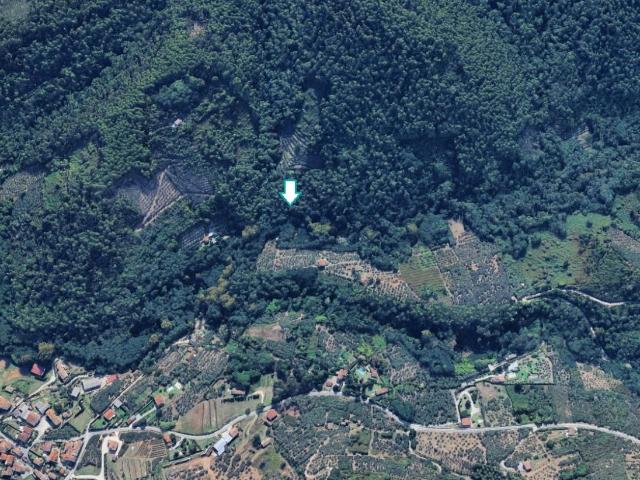 Terreno Agricolo in vendita a Buti