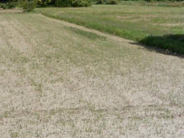 Terreno agricolo in vendita a Camaiore