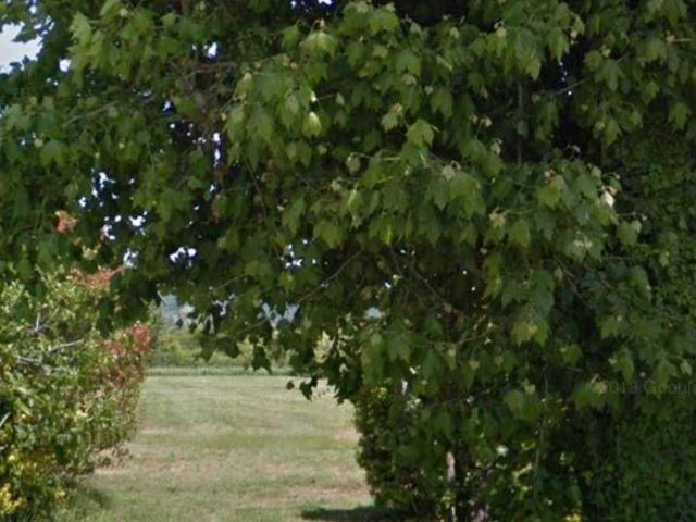 Terreno agricolo in vendita a Camaiore