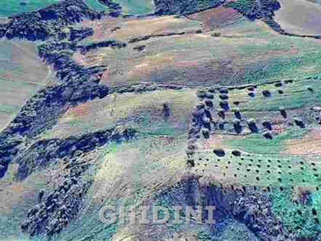TERRENO AGRICOLO in VENDITA a CAMPAGNATICO MONTORSAIO