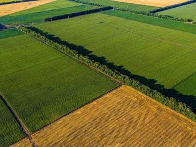 TERRENO AGRICOLO in VENDITA a CAMPI BISENZIO