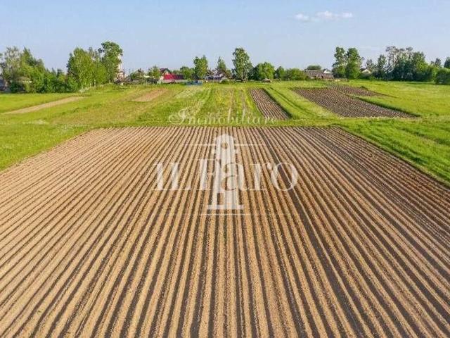 Terreno agricolo in vendita a Campi Bisenzio