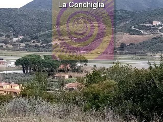 TERRENO AGRICOLO in VENDITA a CAMPO NELL'ELBA