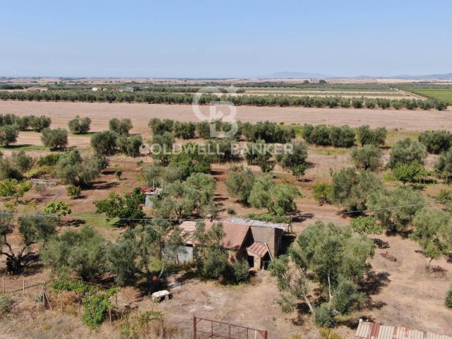 Terreno agricolo in vendita a Canino