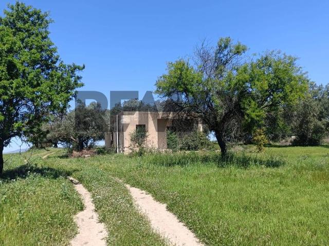 Terreno agricolo in vendita a Caltagirone
