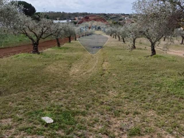 Terreno agricolo in vendita a Caltagirone