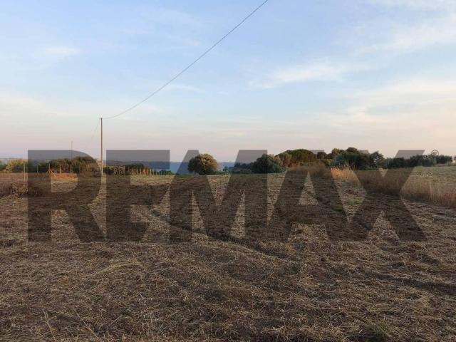Terreno agricolo in vendita a Caltagirone