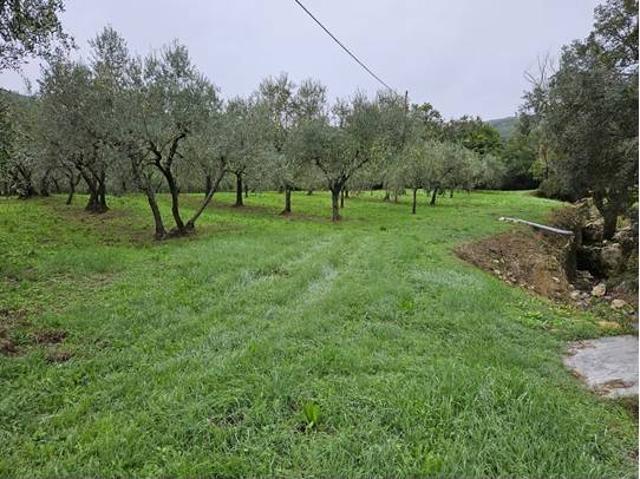 Terreno Agricolo in vendita a Calenzano, Secciano
