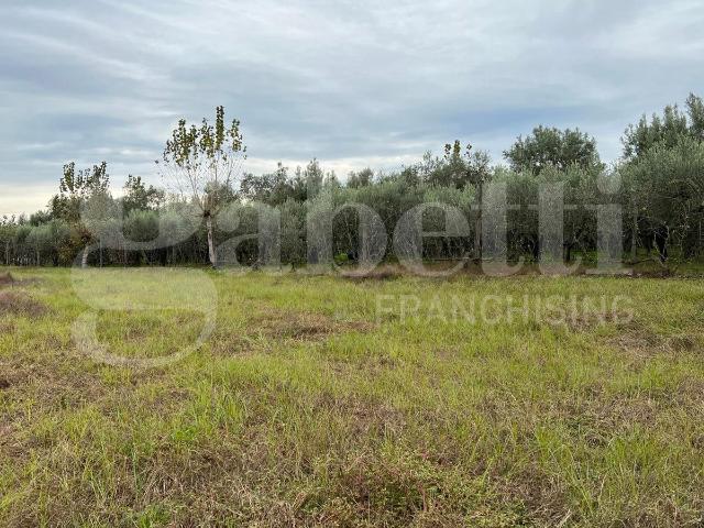 Terreno agricolo in vendita a Capua