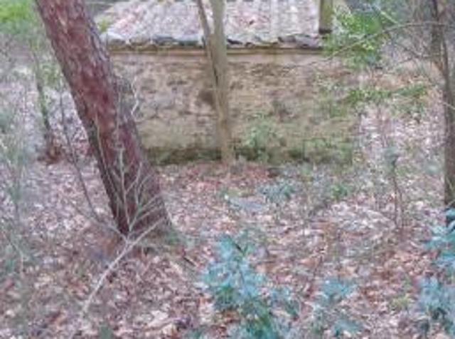 Terreno agricolo in vendita a Capannori 5600 mq Rif: 1313968